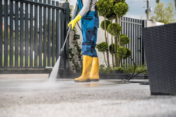 Professional Pressure Washing Services in Forest View, IL