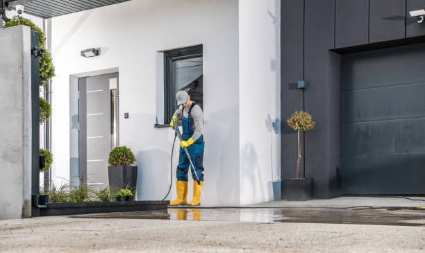 Animal Enclosure Cleaning in Forest View, IL